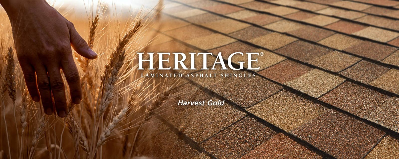 303 Exterior Restorations Images